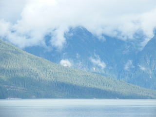 Filename=DSCF9104.JPG
Filesize=3650KiB
Dimensions=3264x2448
Date added=Sep 15, 2019 DSCF9104.JPG