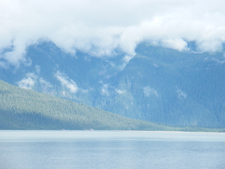 Filename=DSCF9111.JPG
Filesize=3261KiB
Dimensions=3264x2448
Date added=Sep 15, 2019 DSCF9111.JPG