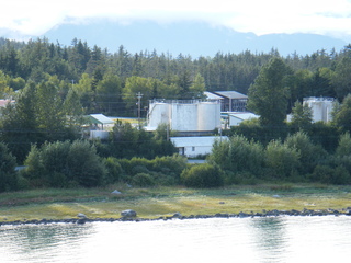 Filename=DSCF9126.JPG
Filesize=2963KiB
Dimensions=3264x2448
Date added=Sep 15, 2019 DSCF9126.JPG