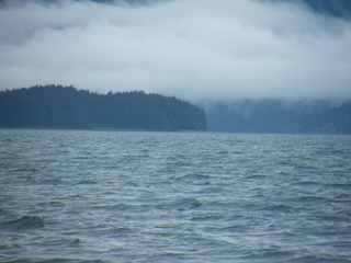 Filename=DSCF9157.JPG
Filesize=3904KiB
Dimensions=3264x2448
Date added=Sep 15, 2019 DSCF9157.JPG