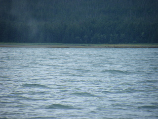 Filename=DSCF9158.JPG
Filesize=3305KiB
Dimensions=3264x2448
Date added=Sep 15, 2019 DSCF9158.JPG