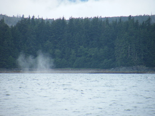 Filename=DSCF9159.JPG
Filesize=3348KiB
Dimensions=3264x2448
Date added=Sep 15, 2019 DSCF9159.JPG