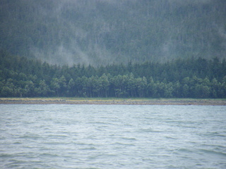 Filename=DSCF9162.JPG
Filesize=3327KiB
Dimensions=3264x2448
Date added=Sep 15, 2019 DSCF9162.JPG