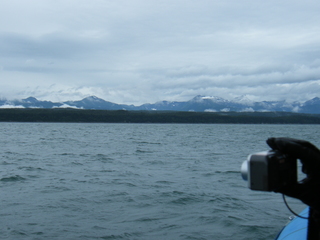 Filename=DSCF9165.JPG
Filesize=3293KiB
Dimensions=3264x2448
Date added=Sep 15, 2019 DSCF9165.JPG