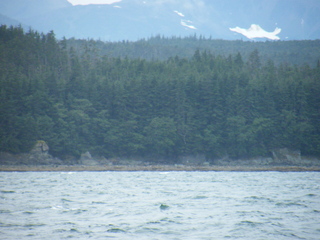 Filename=DSCF9175.JPG
Filesize=3787KiB
Dimensions=3264x2448
Date added=Sep 15, 2019 DSCF9175.JPG