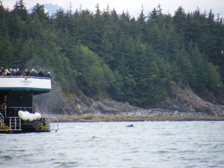 Filename=DSCF9177.JPG
Filesize=3237KiB
Dimensions=3264x2448
Date added=Sep 15, 2019 DSCF9177.JPG