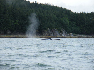 Filename=DSCF9188.JPG
Filesize=3189KiB
Dimensions=3264x2448
Date added=Sep 15, 2019 DSCF9188.JPG