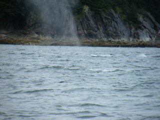 Filename=DSCF9189.JPG
Filesize=3275KiB
Dimensions=3264x2448
Date added=Sep 15, 2019 DSCF9189.JPG