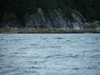 Filename=DSCF9190.JPG
Filesize=3217KiB
Dimensions=3264x2448
Date added=Sep 15, 2019 DSCF9190.JPG