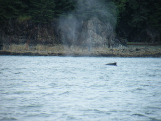 Filename=DSCF9192.JPG
Filesize=3554KiB
Dimensions=3264x2448
Date added=Sep 15, 2019 DSCF9192.JPG