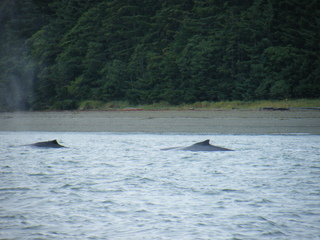 Filename=DSCF9199.JPG
Filesize=3169KiB
Dimensions=3264x2448
Date added=Sep 15, 2019 DSCF9199.JPG