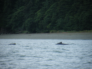 Filename=DSCF9200.JPG
Filesize=3642KiB
Dimensions=3264x2448
Date added=Sep 15, 2019 DSCF9200.JPG