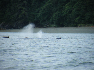 Filename=DSCF9201.JPG
Filesize=3815KiB
Dimensions=3264x2448
Date added=Sep 15, 2019 DSCF9201.JPG