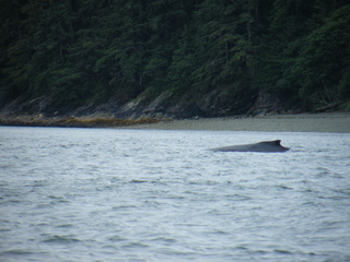 Filename=DSCF9202.JPG
Filesize=3794KiB
Dimensions=3264x2448
Date added=Sep 15, 2019 DSCF9202.JPG