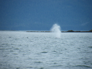 Filename=DSCF9205.JPG
Filesize=3212KiB
Dimensions=3264x2448
Date added=Sep 15, 2019 DSCF9205.JPG