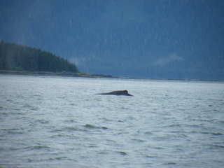 Filename=DSCF9206.JPG
Filesize=3912KiB
Dimensions=3264x2448
Date added=Sep 15, 2019 DSCF9206.JPG