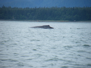 Filename=DSCF9212.JPG
Filesize=3631KiB
Dimensions=3264x2448
Date added=Sep 15, 2019 DSCF9212.JPG