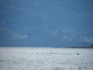 Filename=DSCF9218.JPG
Filesize=3195KiB
Dimensions=3264x2448
Date added=Sep 15, 2019 DSCF9218.JPG