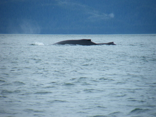 Filename=DSCF9219.JPG
Filesize=3804KiB
Dimensions=3264x2448
Date added=Sep 15, 2019 DSCF9219.JPG