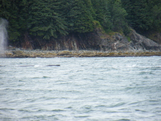 Filename=DSCF9225.JPG
Filesize=3771KiB
Dimensions=3264x2448
Date added=Sep 15, 2019 DSCF9225.JPG