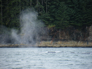 Filename=DSCF9231.JPG
Filesize=3220KiB
Dimensions=3264x2448
Date added=Sep 15, 2019 DSCF9231.JPG