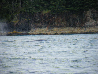 Filename=DSCF9232.JPG
Filesize=3331KiB
Dimensions=3264x2448
Date added=Sep 15, 2019 DSCF9232.JPG