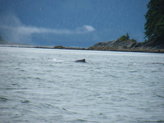 Filename=DSCF9237.JPG
Filesize=3168KiB
Dimensions=3264x2448
Date added=Sep 15, 2019 DSCF9237.JPG