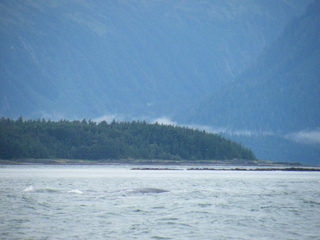 Filename=DSCF9239.JPG
Filesize=3222KiB
Dimensions=3264x2448
Date added=Sep 15, 2019 DSCF9239.JPG