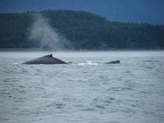 Filename=DSCF9240.JPG
Filesize=3209KiB
Dimensions=3264x2448
Date added=Sep 15, 2019 DSCF9240.JPG