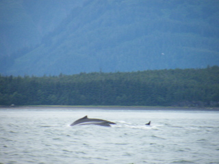 Filename=DSCF9242.JPG
Filesize=3775KiB
Dimensions=3264x2448
Date added=Sep 15, 2019 DSCF9242.JPG