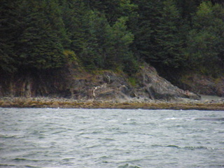 Filename=DSCF9253.JPG
Filesize=3405KiB
Dimensions=3264x2448
Date added=Sep 15, 2019 DSCF9253.JPG