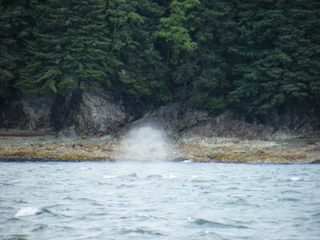 Filename=DSCF9257.JPG
Filesize=3261KiB
Dimensions=3264x2448
Date added=Sep 15, 2019 DSCF9257.JPG