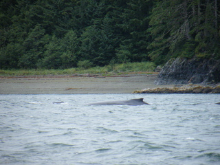 Filename=DSCF9259.JPG
Filesize=3467KiB
Dimensions=3264x2448
Date added=Sep 15, 2019 DSCF9259.JPG