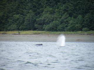 Filename=DSCF9260.JPG
Filesize=3285KiB
Dimensions=3264x2448
Date added=Sep 15, 2019 DSCF9260.JPG