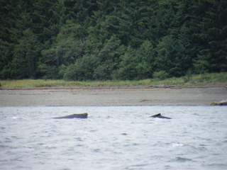 Filename=DSCF9261.JPG
Filesize=3287KiB
Dimensions=3264x2448
Date added=Sep 15, 2019 DSCF9261.JPG