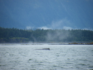 Filename=DSCF9263.JPG
Filesize=2904KiB
Dimensions=3264x2448
Date added=Sep 15, 2019 DSCF9263.JPG