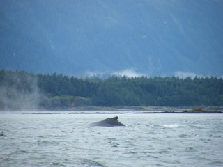 Filename=DSCF9265.JPG
Filesize=3257KiB
Dimensions=3264x2448
Date added=Sep 15, 2019 DSCF9265.JPG