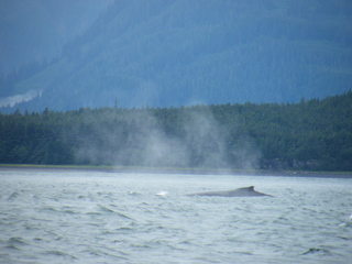 Filename=DSCF9267.JPG
Filesize=3754KiB
Dimensions=3264x2448
Date added=Sep 15, 2019 DSCF9267.JPG