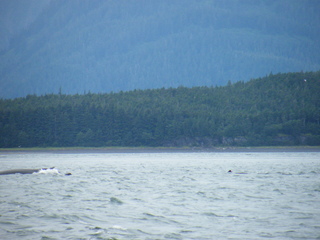 Filename=DSCF9269.JPG
Filesize=3216KiB
Dimensions=3264x2448
Date added=Sep 15, 2019 DSCF9269.JPG