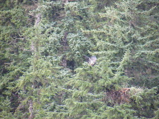 Filename=DSCF9276.JPG
Filesize=3223KiB
Dimensions=3264x2448
Date added=Sep 15, 2019 DSCF9276.JPG