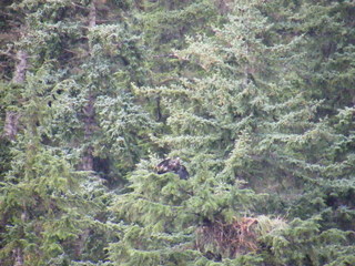 Filename=DSCF9277.JPG
Filesize=3277KiB
Dimensions=3264x2448
Date added=Sep 15, 2019 DSCF9277.JPG