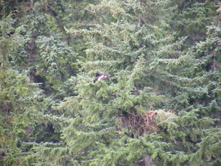 Filename=DSCF9278.JPG
Filesize=3180KiB
Dimensions=3264x2448
Date added=Sep 15, 2019 DSCF9278.JPG