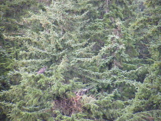 Filename=DSCF9279.JPG
Filesize=3110KiB
Dimensions=3264x2448
Date added=Sep 15, 2019 DSCF9279.JPG