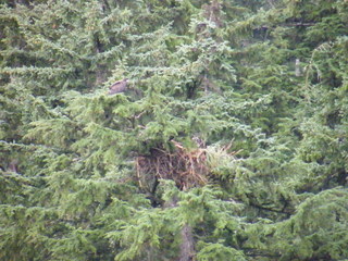 Filename=DSCF9282.JPG
Filesize=3145KiB
Dimensions=3264x2448
Date added=Sep 15, 2019 DSCF9282.JPG