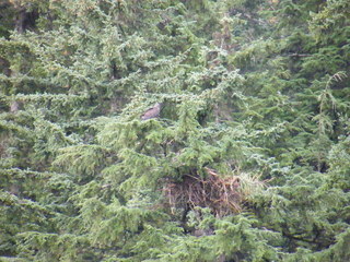 Filename=DSCF9283.JPG
Filesize=3247KiB
Dimensions=3264x2448
Date added=Sep 15, 2019 DSCF9283.JPG