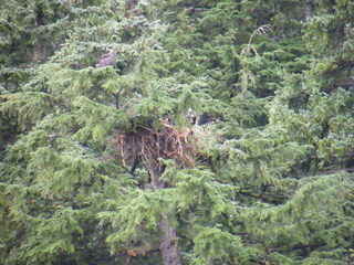 Filename=DSCF9284.JPG
Filesize=3267KiB
Dimensions=3264x2448
Date added=Sep 15, 2019 DSCF9284.JPG