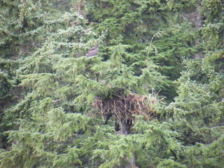 Filename=DSCF9285.JPG
Filesize=3120KiB
Dimensions=3264x2448
Date added=Sep 15, 2019 DSCF9285.JPG