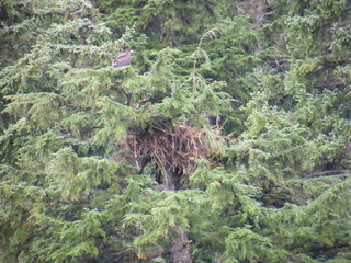 Filename=DSCF9286.JPG
Filesize=3275KiB
Dimensions=3264x2448
Date added=Sep 15, 2019 DSCF9286.JPG