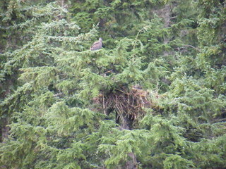 Filename=DSCF9287.JPG
Filesize=3150KiB
Dimensions=3264x2448
Date added=Sep 15, 2019 DSCF9287.JPG