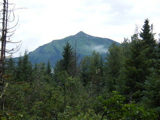 Filename=DSCF9302.JPG
Filesize=2934KiB
Dimensions=3264x2448
Date added=Sep 15, 2019 DSCF9302.JPG